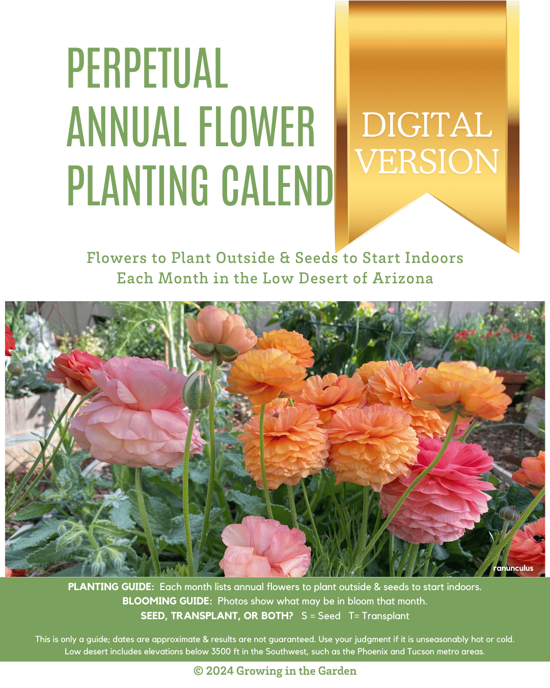 DIGITAL VERSION Perpetual Annual Flower Planting Calendar Growing in