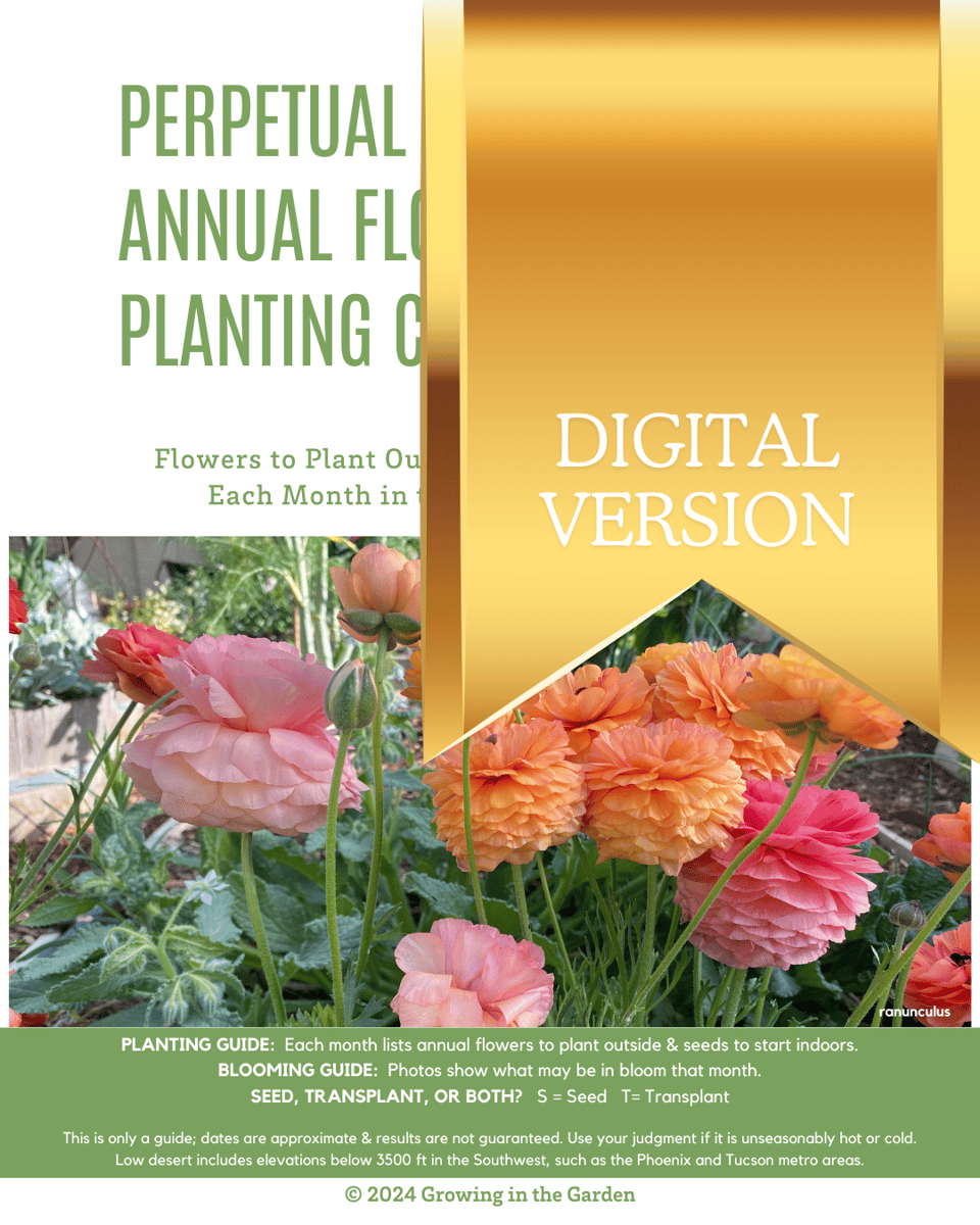 DIGITAL VERSION Perpetual Annual Flower Planting Calendar Growing in