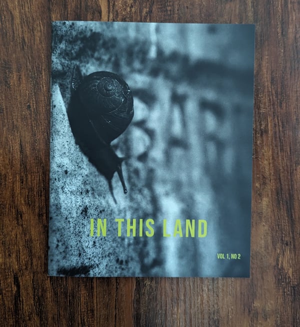Image of In This Land - Issue 2 - Film Photography Zine