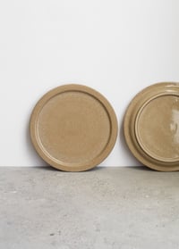 Image 2 of Buff rim plate