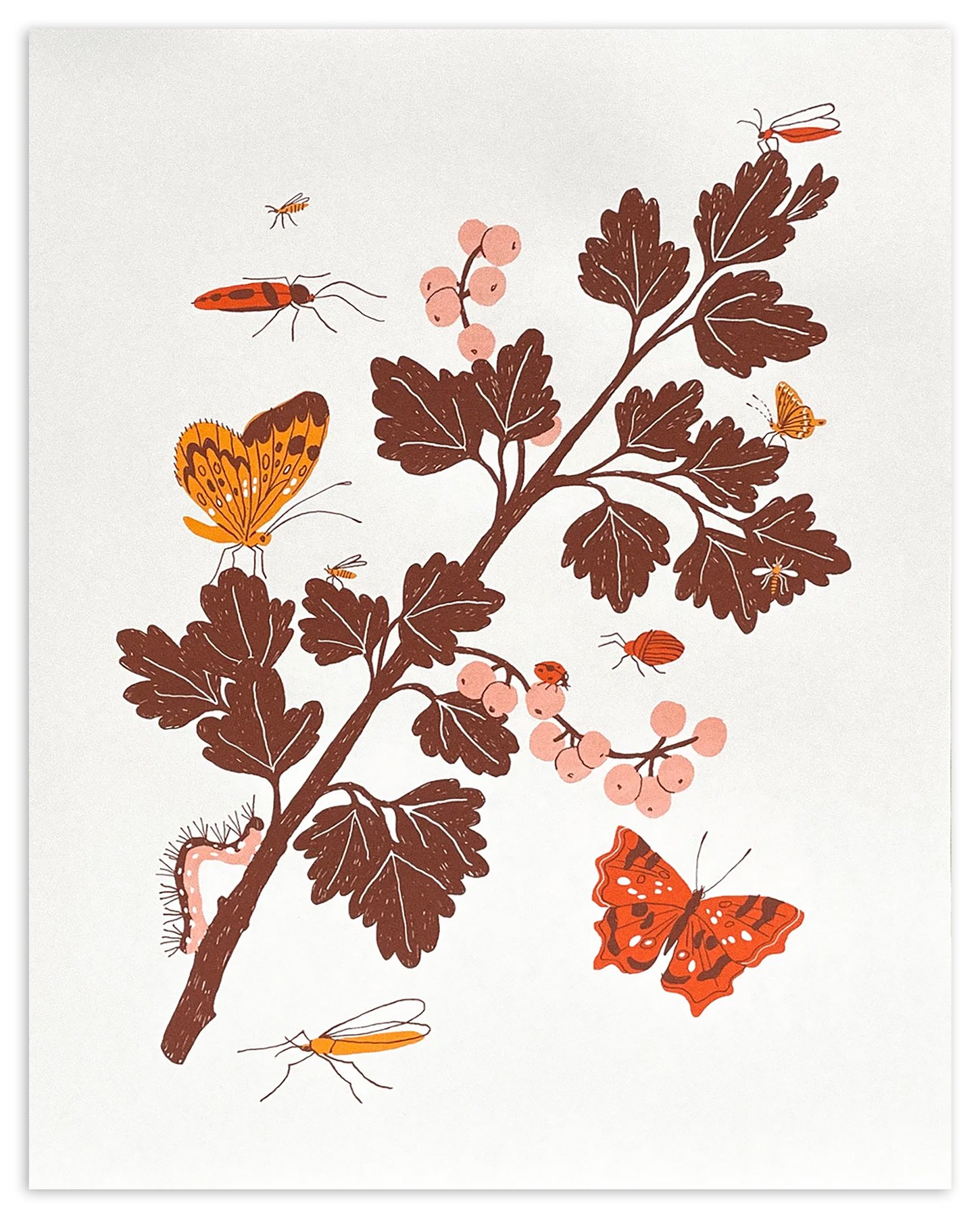 Image of Ribes Screen Print by Liana Jegers