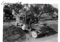 Image 2 of Dalla Sicilia a Roma.  Foto e documenti inediti del fronte di Anzio 1944 - 1945