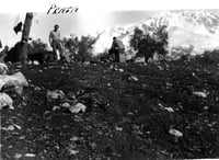 Image 4 of Dalla Sicilia a Roma.  Foto e documenti inediti del fronte di Anzio 1944 - 1945