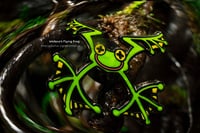 Image 1 of Wallace's Flying Frog hard enamel pin (Brand Logo)