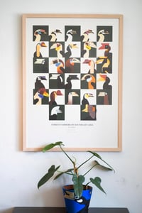 Image 3 of Forest Farmers of Southeast Asia (Hornbills)