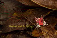 Image 3 of Malayan Horned Frog hard enamel pin