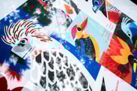 Image 4 of Birds of Southeast Asia Large format A2 sized prints