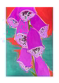 Image 1 of Foxgloves