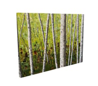 Image 3 of 'Bracken Woods' Canvas