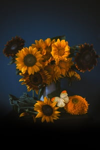 Still Life with Sunflowers no. 1