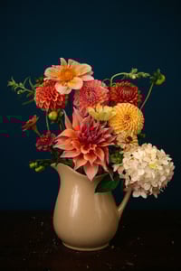 Autumn Dahlias