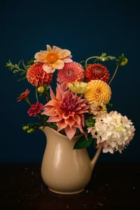 Autumn Dahlias 