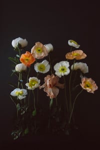 Still Life with Iris, Poppies, and Peony