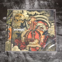 Image 2 of Kandarivas / Swarrrm "Layered Chimera" CD