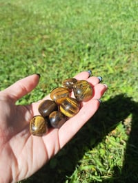 Image 2 of Tigers Eye Tumble