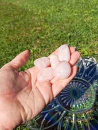 Image 1 of Rose Quartz Tumbles