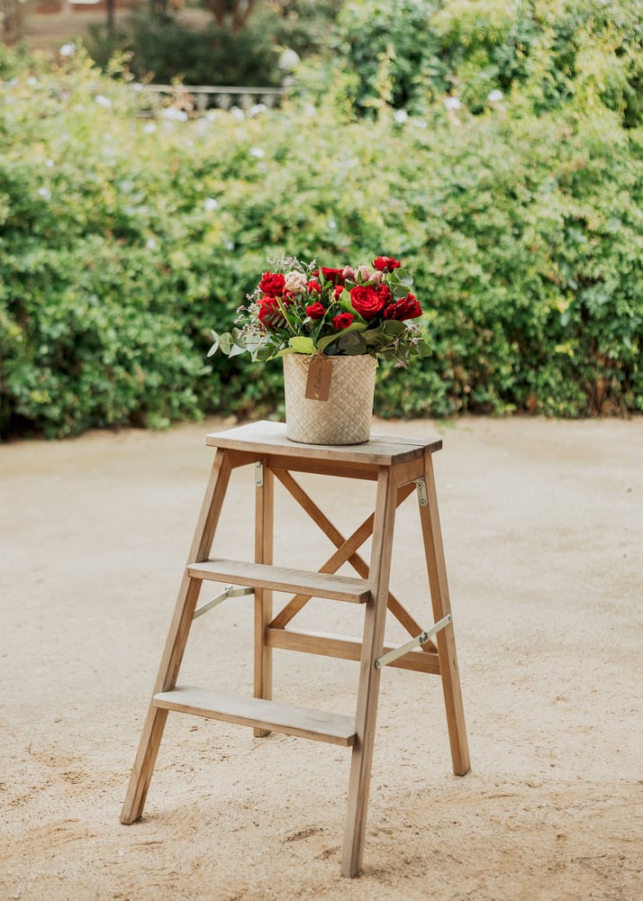 Image of Centro rojizo  