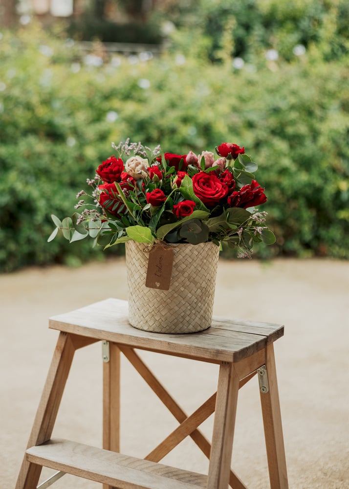 Image of Centro rojizo  