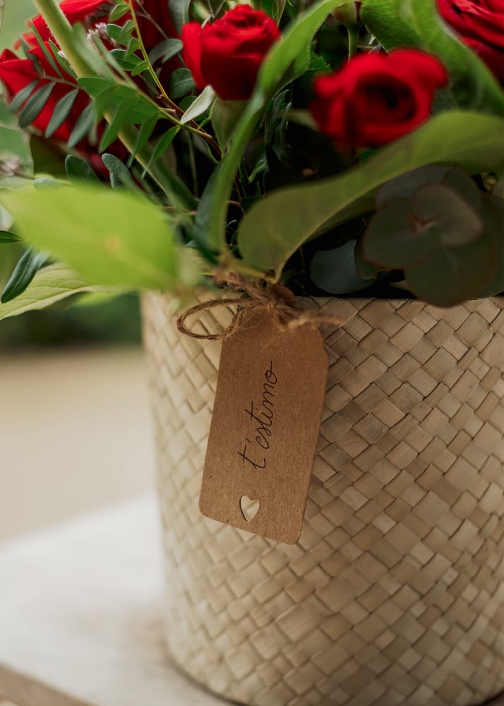 Image of Centro rojizo  