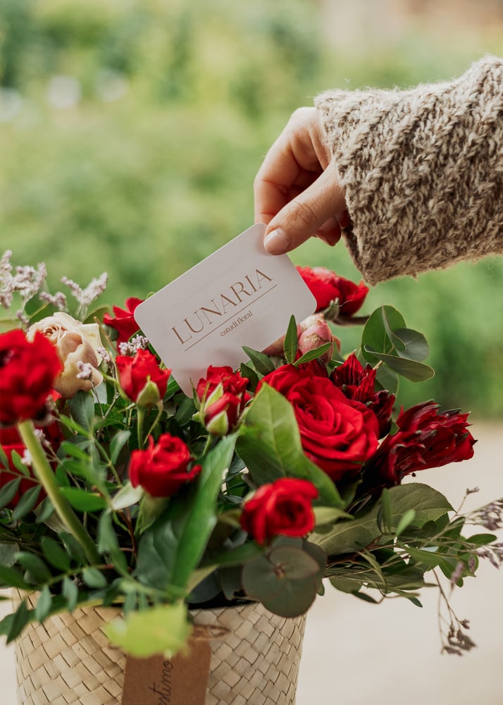 Image of Centro rojizo  