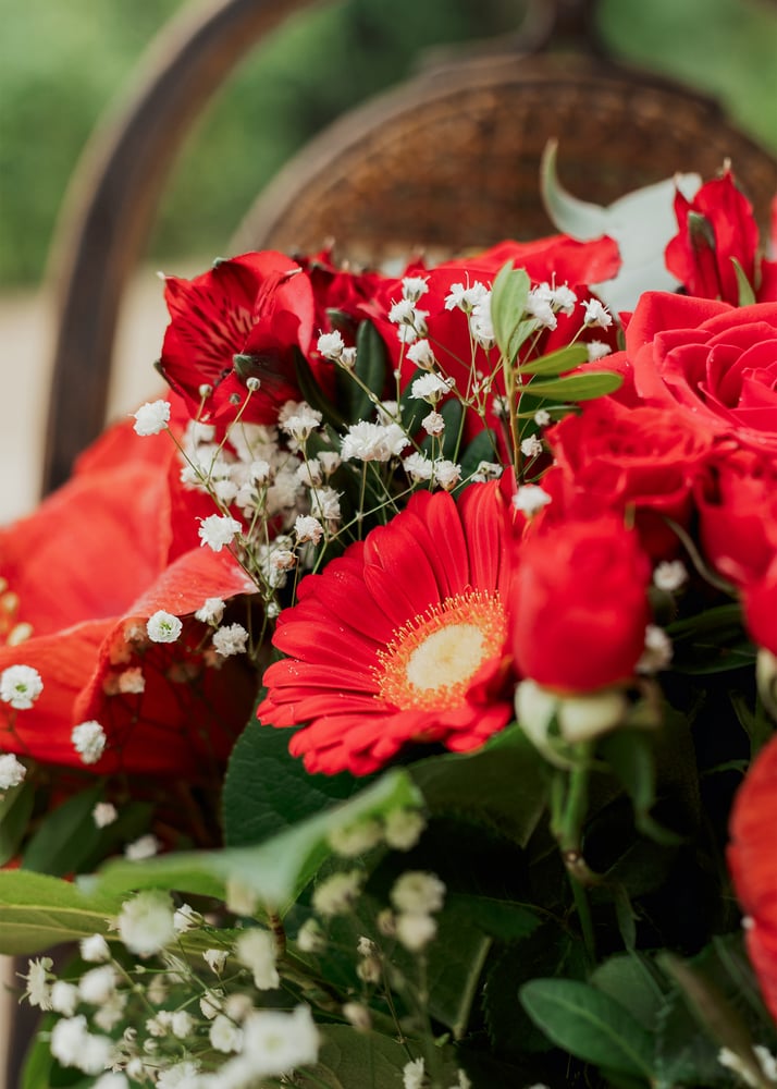 Image of Ramo rojizo XL