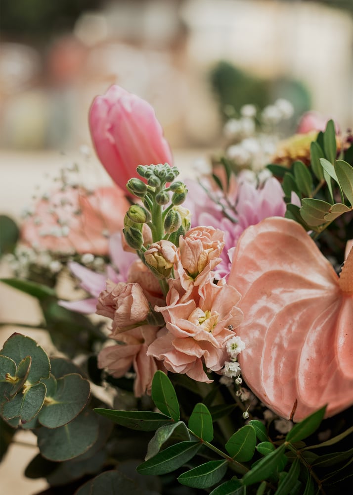 Image of Ramo rosado