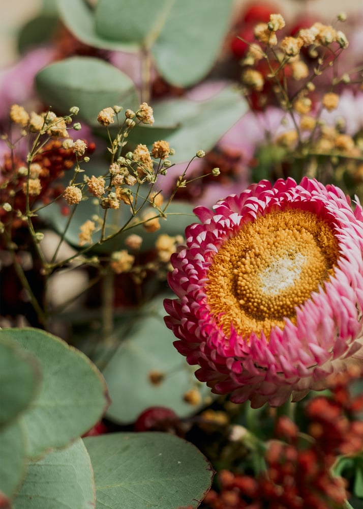 Image of Centro seco en cesta 