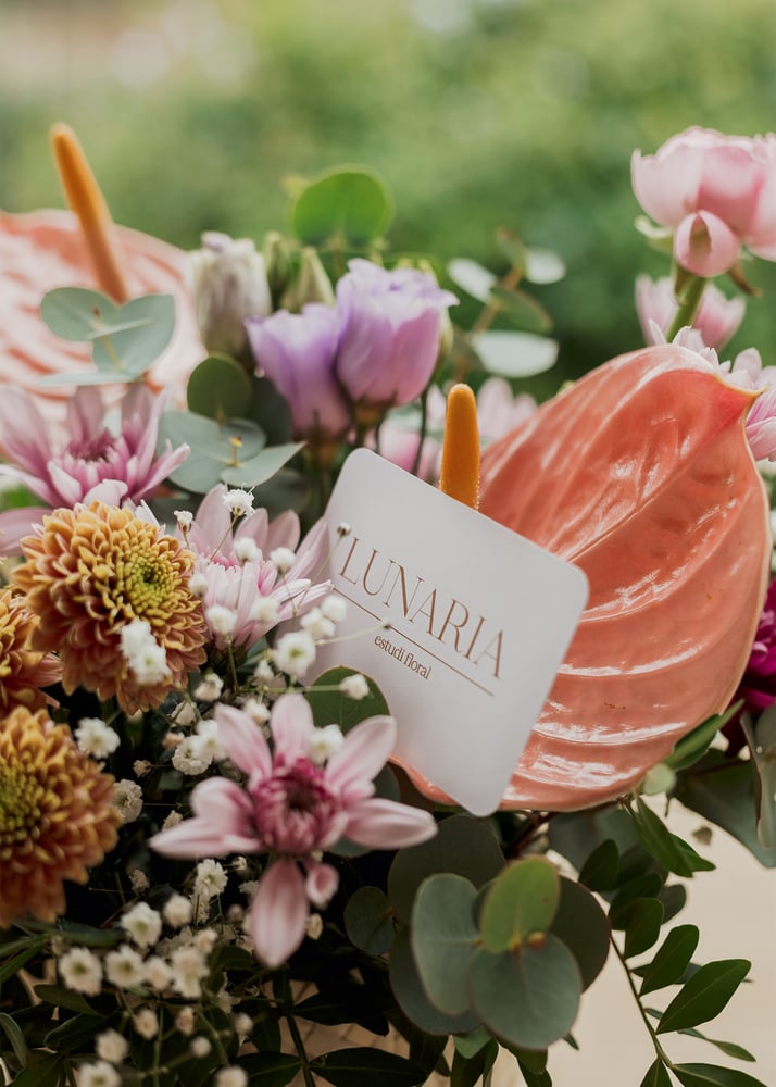 Image of Centro rosado