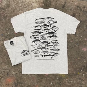Image of Saltwater Fishes of the British Isles - Ash Grey