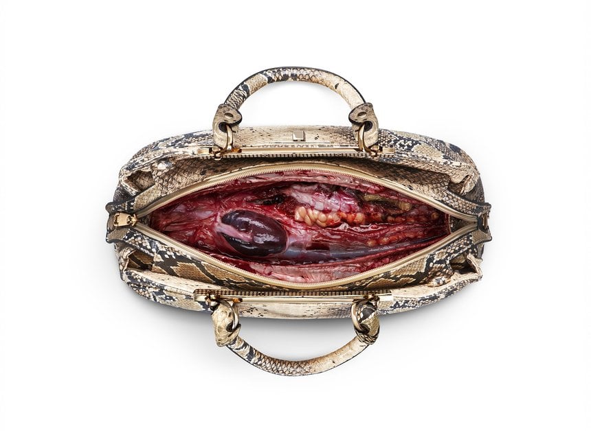 Louis Vuitton  x PETA's Rare Dead Corporate Lizard Bag 