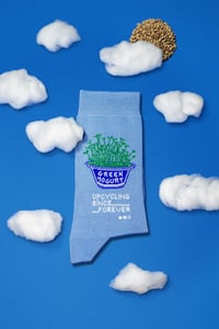 Greek Yogurt Socks