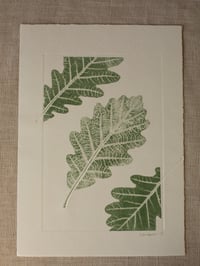 Image 2 of Oak Leaves 03 - Original Botanical Monoprint - A4