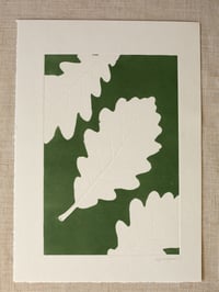 Image 1 of Oak Leaves 01 - Original Botanical Monoprint - A4