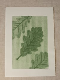Image 2 of Oak Leaves 02 - Original Print - A4