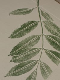 Image 2 of Ash leaves 03 - A4 - Original Print 