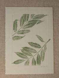 Image 1 of Ash leaves 03 - A4 - Original Print 