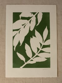 Image 2 of Ash leaves 01 - A4 - Original Print 