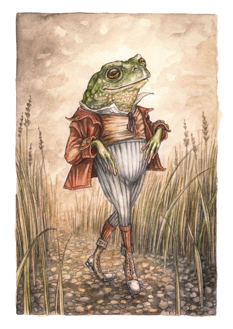 Image of 'Mr Toad' by Adam Oehlers