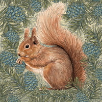 Image 3 of RED SQUIRREL GREETING CARD