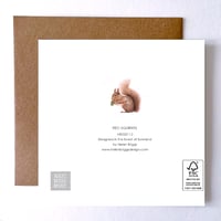 Image 2 of RED SQUIRREL BLANK CARD