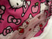 Image of Snack Cat Fanny Pack