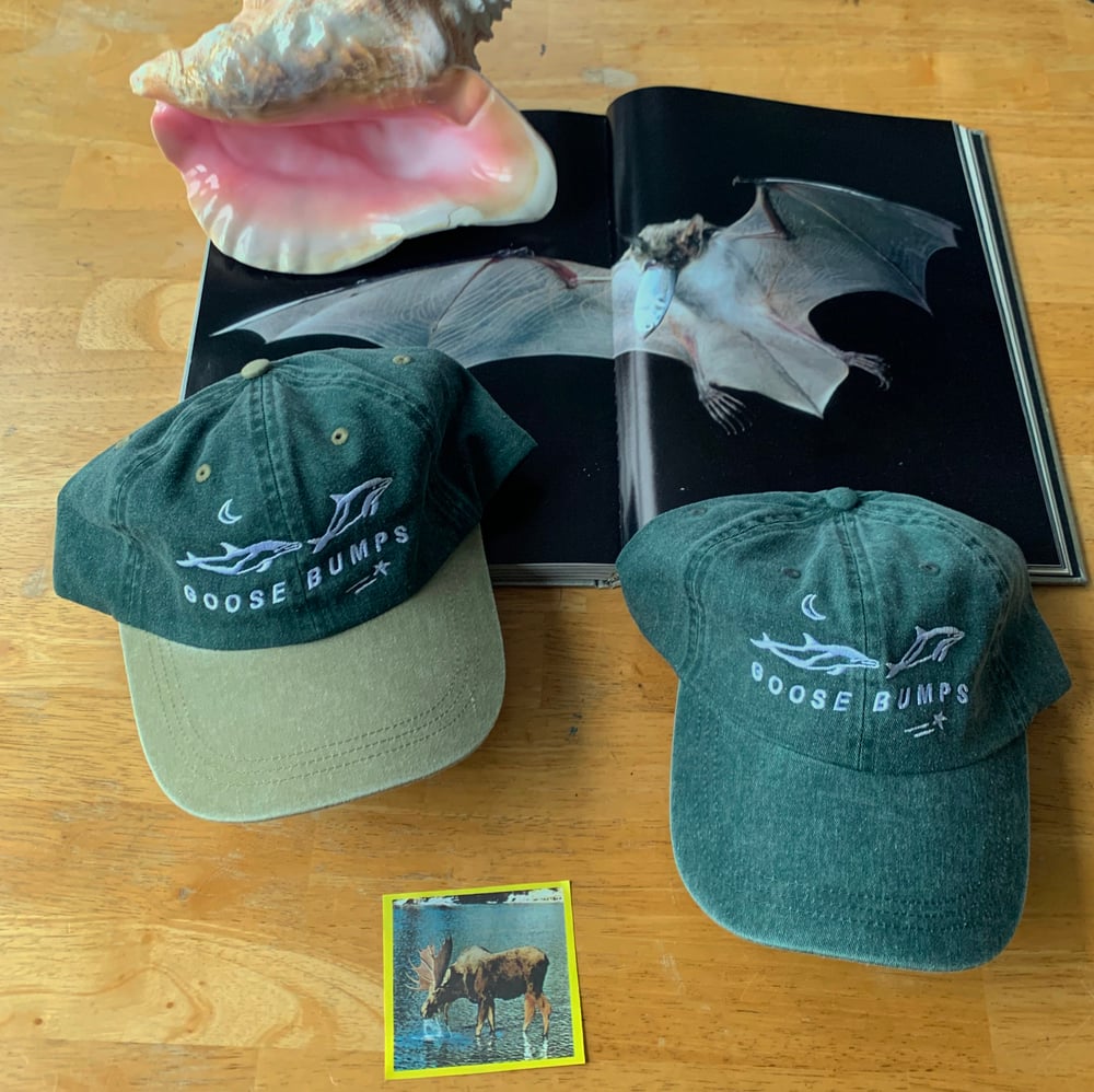 Image of Goose Bumps Dolphin Hats