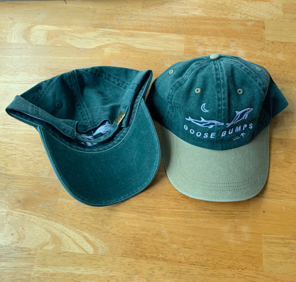 Image of Goose Bumps Dolphin Hats