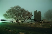 Photo 031: The Tree of Psi in Harmony Cemetery.