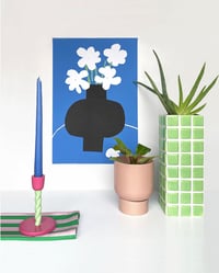 Image 2 of Fleurs blanches