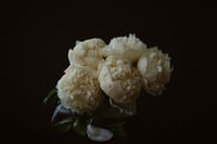 Still Life with White Peony no. 2