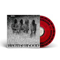 Image 2 of DYS - Brotherhood LP [red vinyl]