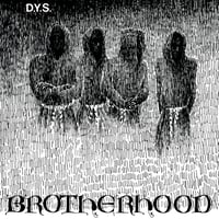 Image 1 of DYS - Brotherhood LP [red vinyl]