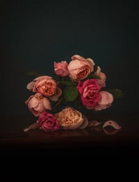 Still Life with Pink Garden Roses no.1