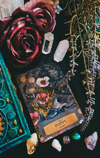 Image 1 of PERSONAL TAROT READING + PLANT SPIRIT GUIDANCE 